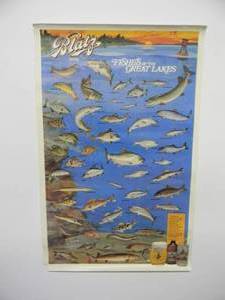 lot 11 image: VINTAGE ORIGINAL 1987 FISHES OF THE GREAT LAKES BLATZ BEER ADVERTISING POSTER - RARE - FANTASTIC ORIGINAL PIECE - APPROX 23 By 35 - SEE PICTURES