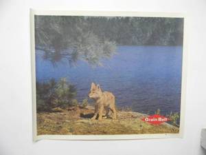 lot 35 image: RARE Original Vintage GRAIN BELT BEER MPLS. BREWING CO. ADVERTISING PRINT ON CANVAS TYPE MAT. - FANTASTIC PIECE - APPROX 33 By 27 - SEE PICTURES
