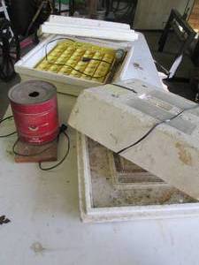 Egg incubators and misc accessories...