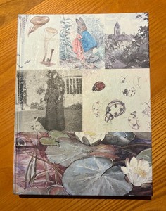 lot 208 image: The Art of Beatrix Potter Sketches, Paintings and Illustrations