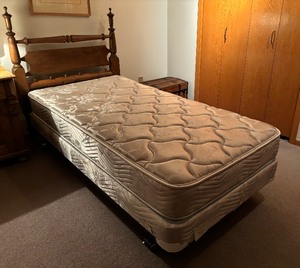 lot 215 image: Terrific Twin Bed