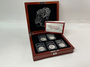 lot 12 image: The Complete Set of finishes for the  American Silver Eagles Series