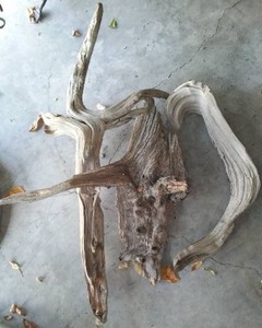 lot 49 image: Driftwood (3)