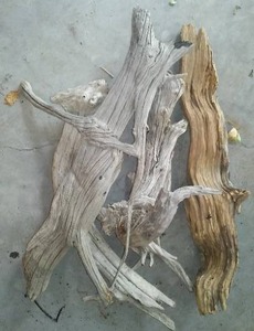 lot 50 image: Driftwood (4)