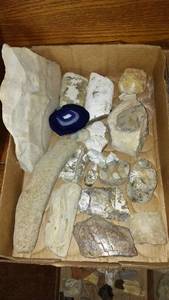 lot 156 image: Collection of Fossils and Natural Minerals Including Agate Slice