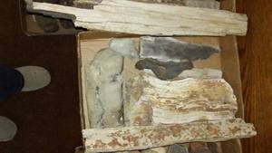 lot 157 image: Assorted Natural Rock and Wood Collection