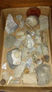 lot 158 image: Collection of Fossils and Natural Rocks - Assorted Specimens