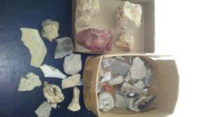 lot 211 image: Collection of Natural Stones and Fossils - Box of Assorted Specimens
