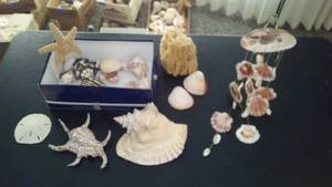 lot 237 image: Collection of Assorted Seashells and Sea Sponge Decor