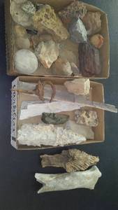 lot 238 image: Mixed Lot of Fossils, Rocks, and Minerals Collection