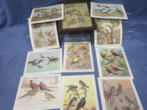 lot 64 image: Bird Portraits & LB Hunt Print