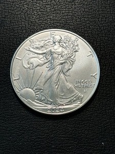 2024 Silver Eagle