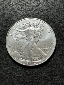 2024 Silver Eagle