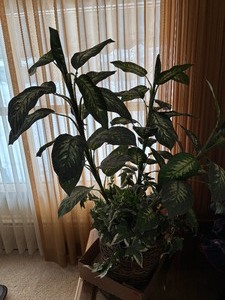 lot 195 image: Tall Fake Plant