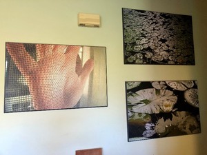lot 257 image: 3 Large Format Professional Photos on Heavy Wood BAcking