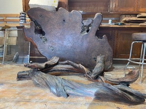 lot 5 image: Gorgeous LARGE Natural Burled Redwood Slab Coffee Table