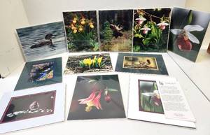 lot 338 image: Lot of BackedMatted Professional Alaskan Wildlife Photos