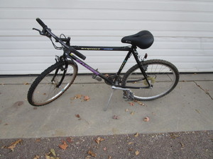 lot 31 image: Schwinn Bike