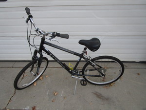 lot 32 image: Schwinn Bike