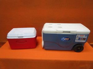lot 38 image: (2) Coolers