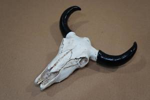 lot 65 image: Resin Garneck Bull Skull Wall Dcor