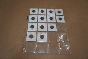lot 85 image: 13 1900-1907 Indian Head Penny Coins