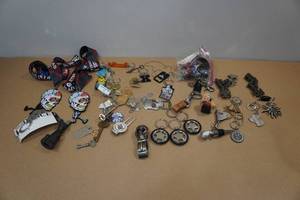 lot 272 image: Assorted Keychains and Lanyards