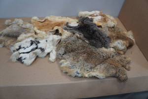 lot 281 image: Animal Pelts