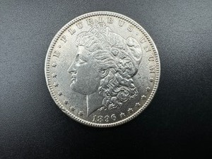 1896 MORGAN DOLLAR  AU