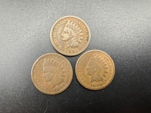 1891 & (2) 1890 INDIANHEADS - 3 Coins total