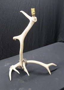 ANTLER LAMP  YOUNG ELK