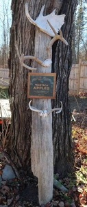 UNIQUE WEATHERED LOOK ANTLER TOTEM POLE