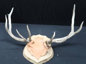 VINTAGE 9PT. RACK