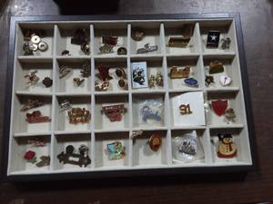 Lot Of Collectibles Pins