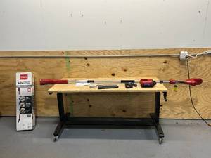 lot 163 image: TORO 60V MAX 10 in. (25.4 cm) Brushless Pole Saw with 2.0Ah Battery and Charger
