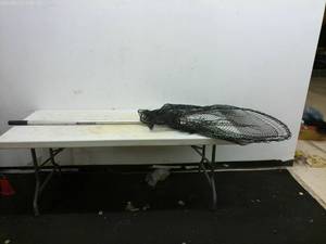 lot 243 image: Beckman Fishing Landing Net with Telescopic Handle