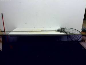 lot 245 image: Beckman Fishing Landing Net - Adjustable Handle