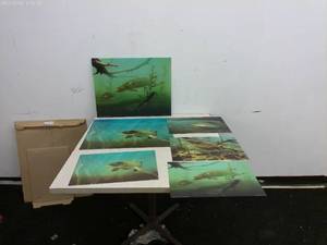 lot 291 image: Collection of 8 3D Fishing-Themed Art Prints Featuring Underwater Scenes