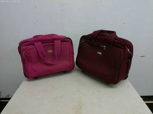 lot 296 image: Set of 2 Rolling Travel Bags by Ricardo - Pink and Burgundy