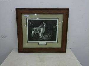 lot 289 image: Framed Art Print Pride by D.J. Wirkkula - Limited Edition 108580