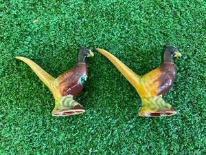 lot 8 image: Rosemeade Pheasants