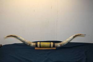 lot A-239 image: Decorative Nautical Horn with Leather Wrap - Unique Home Decor