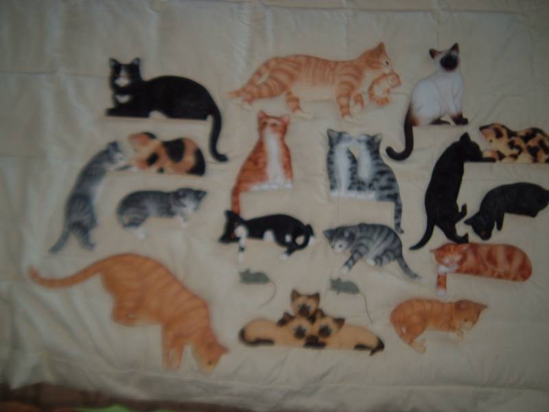 lot 1 image: (EW3) Doorway Cats - 15 Cats and 2 ...