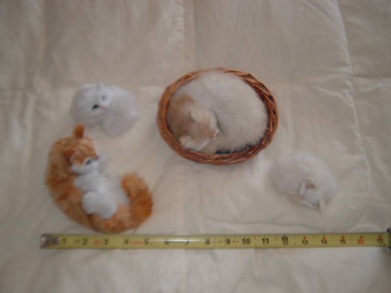 lot 2 image: (CSB) 4 Lifelike Furry Cats...