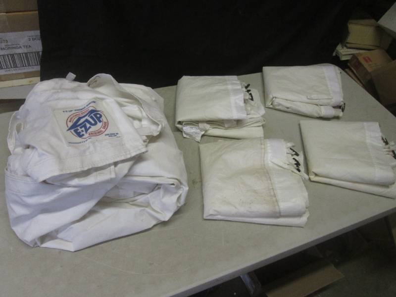 lot 121 image: (CS) E-Z Up 10x10 Top Canopy and ...