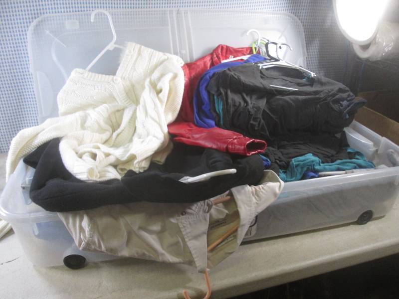 lot 244 image: (BR2) Sterilite Underbed Storage To...