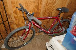 Schwinn Paramount PDG Series 30 bicycle - 10 speed