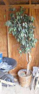 Fake tree about 6 ft