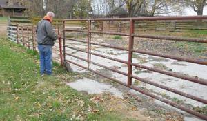 FOUR steel cattle panels - Two 118, One 116, One 138, plus one small 4 ft