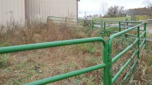 FIVE Nice condition cattle panels 116 HW Brand